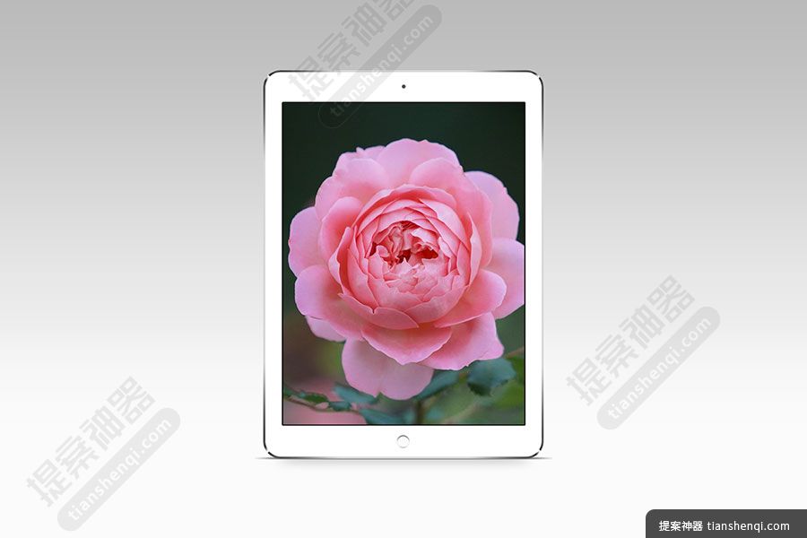 灰色背景一台立式iPad屏幕展示可切换样机贴图素材